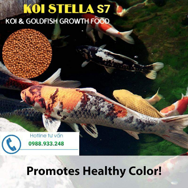 Cám Koi STELLA S7 dành cho cá Koi|1 Kg