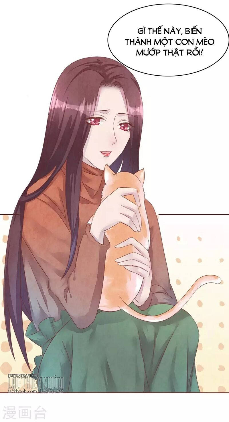 đào tạo nuôi dưỡng bạn trai mèo chapter 48 5