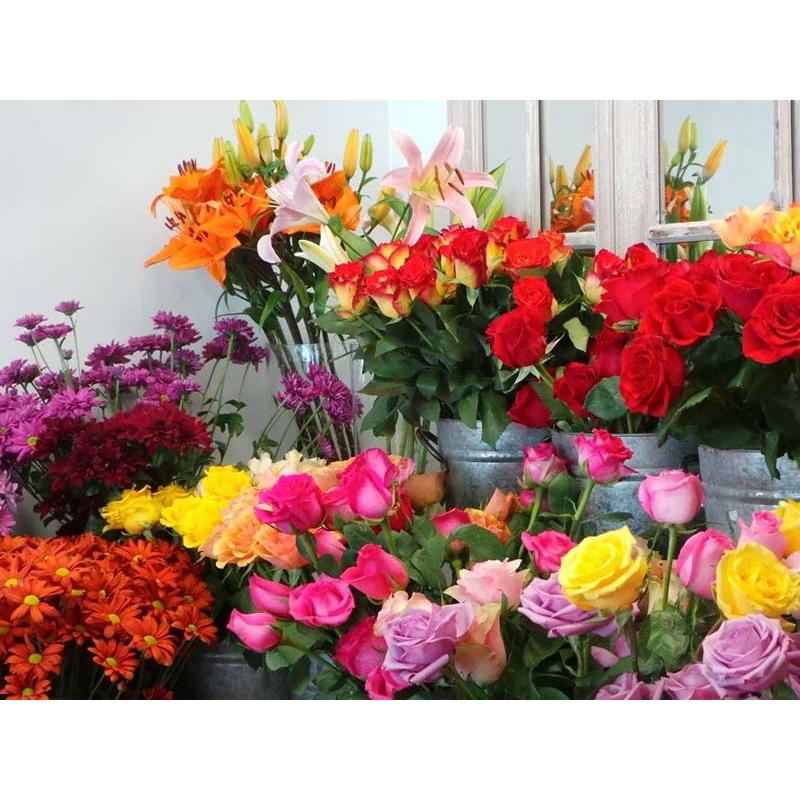 SET 10 Gói Dưỡng Chất Cho Hoa Lâu Tàn KIF FLORA FRESH