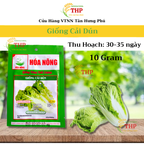 Hạt giống Cải Dún | Hạt giống | gói 10gr