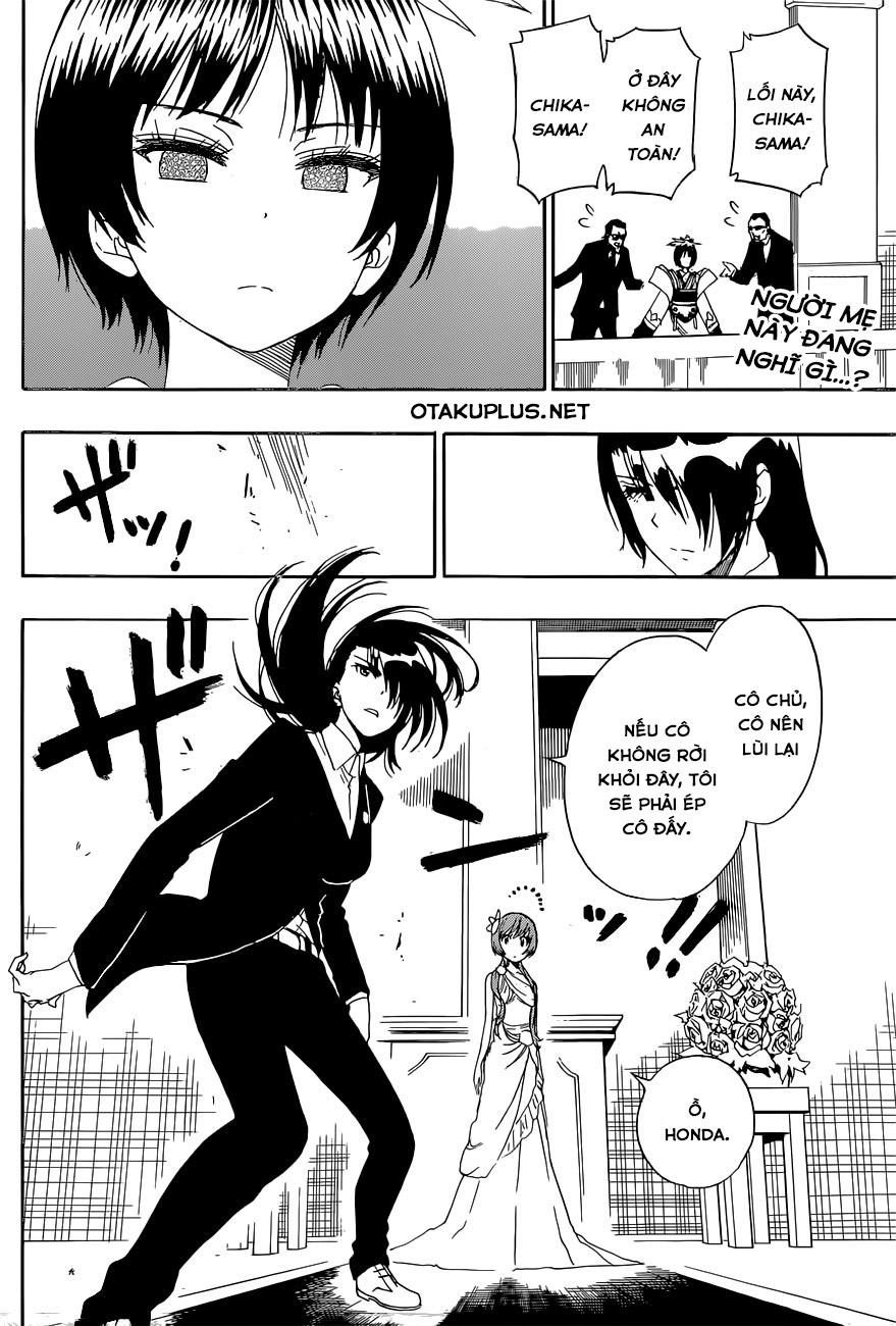 nisekoi - tình yêu giả tạo chapter 191 3