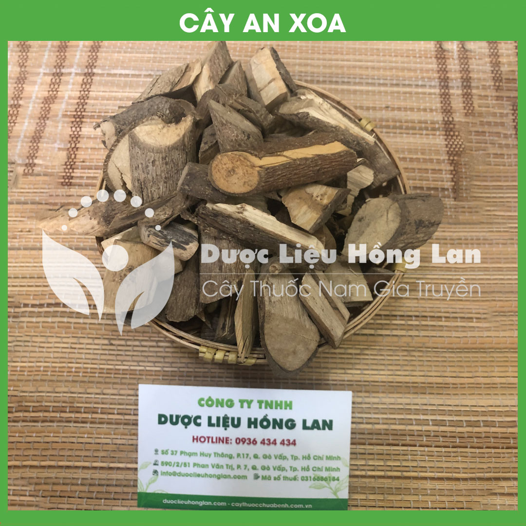 500g Cây An Xoa Tím khô