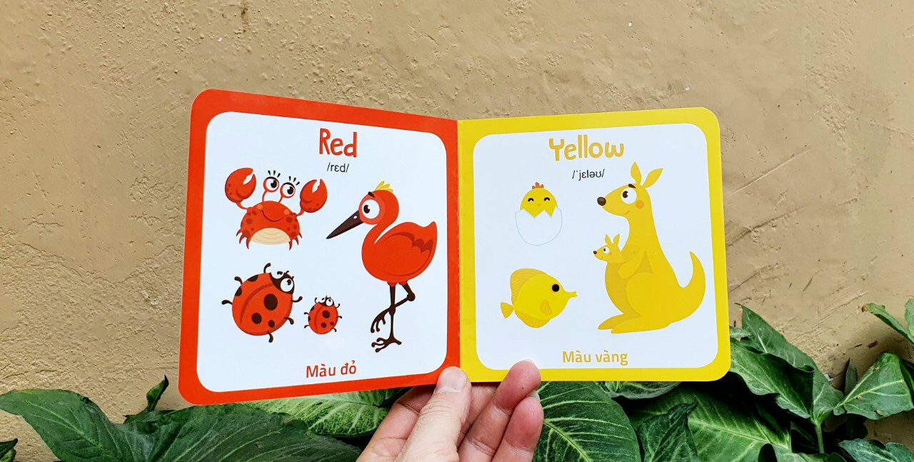 Từ điển hình ảnh đầu tiên cho bé khám phá thế giới - My first picture book