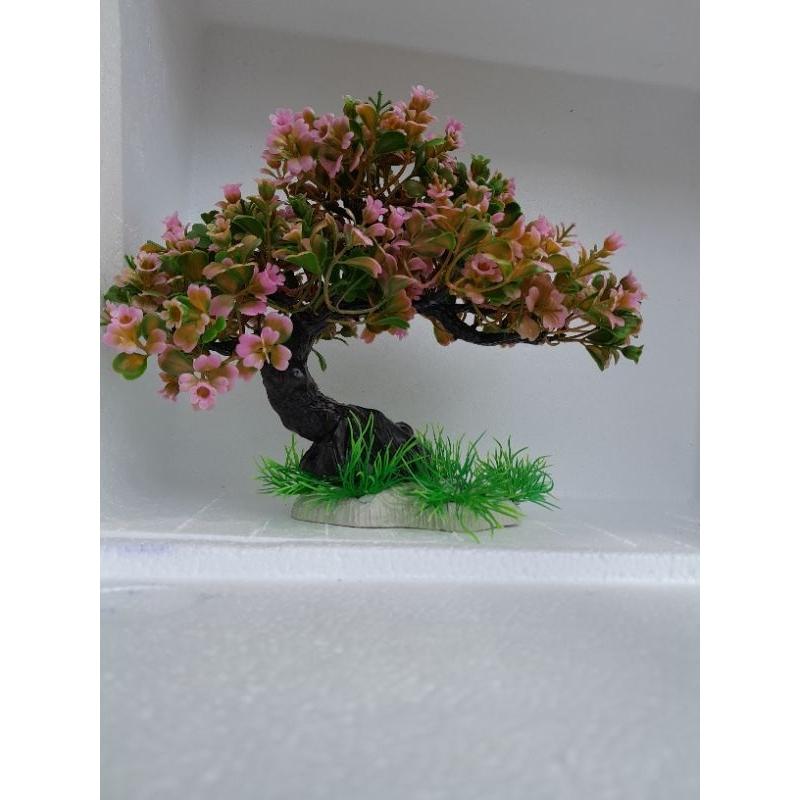 Bonsai bể cá cảnh - cây trang trí hòn non bộ tiểu canh-cây để bàn