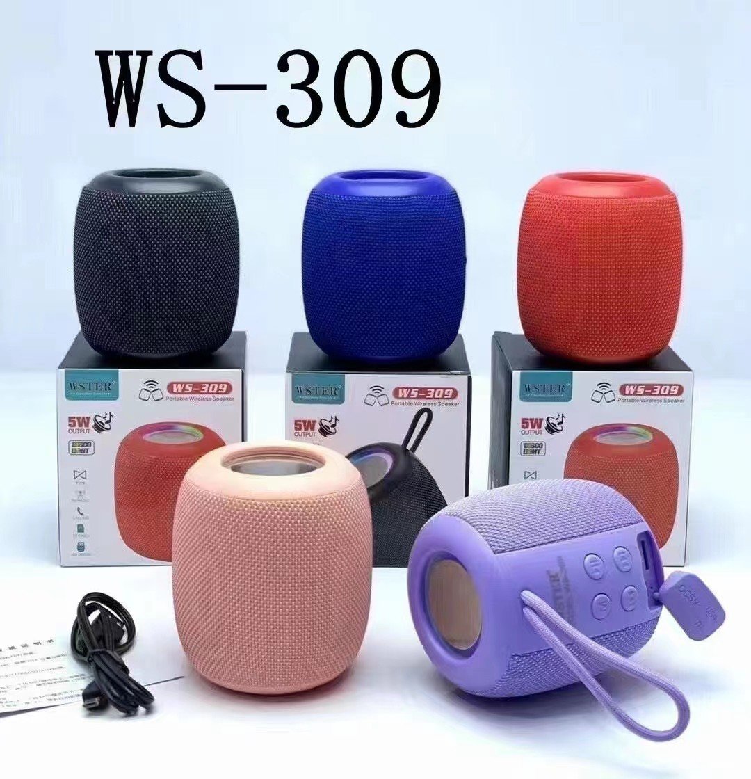 LOA BLUETOOTH WSTER WS-309 ÂM THANH CỰC HAY - JL - HÀNG CHÍNH HÃNG