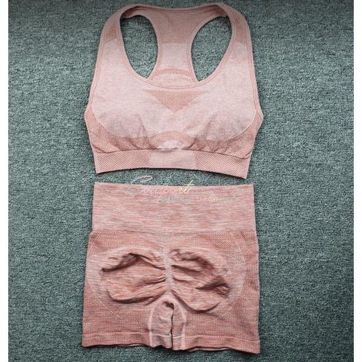 Set bộ đồ gym bra đùi nữ gym yoga, chạy bộ aerobic,leo núi,đi dã ngoại,chất vải thun co giản 4 chiều thoáng mát Evasport