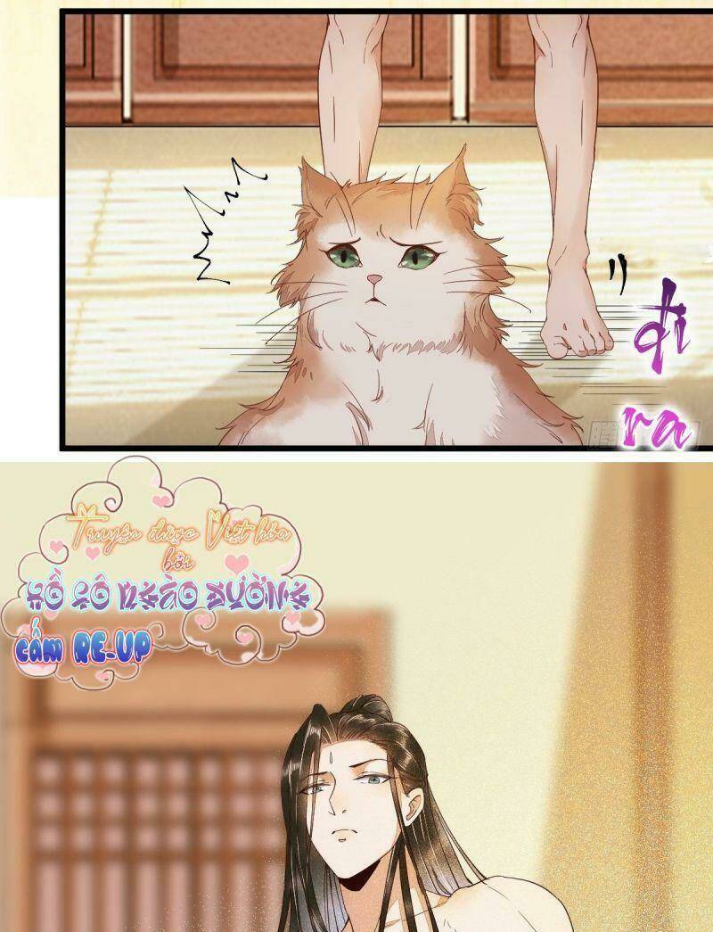 sát thủ vương phi không dễ chọc chapter 40 48