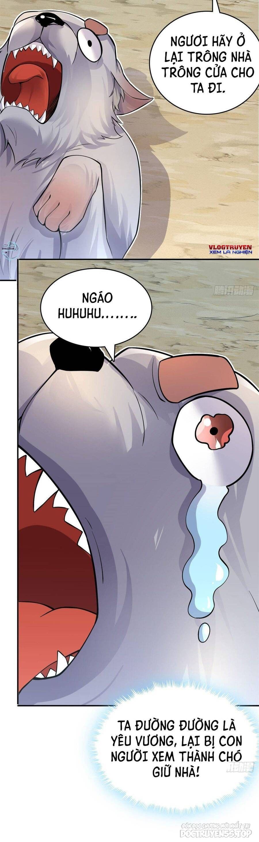 bắt đầu với kiếm vực, ta lặng lẽ tu luyện thành kiếm thần chapter 7 15