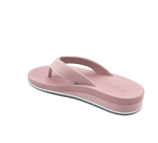 Dép quai kẹp nữ Thái Lan Cania