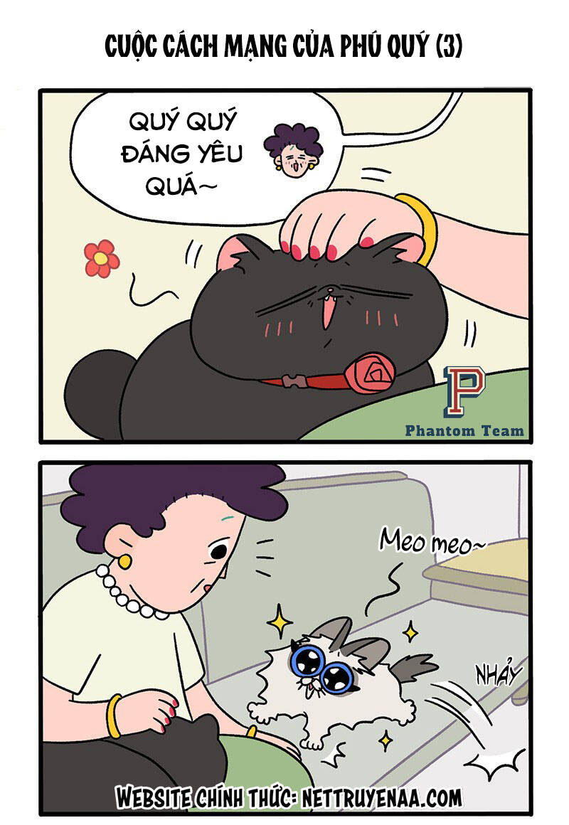 a mãn và mạch trà chapter 31 5