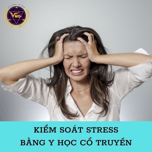 Khóa Học Video Kiểm Soát STRESS Bằng Y Học Cổ Truyền - Trung Tâm Chăm Sóc Sức Khỏe VMC