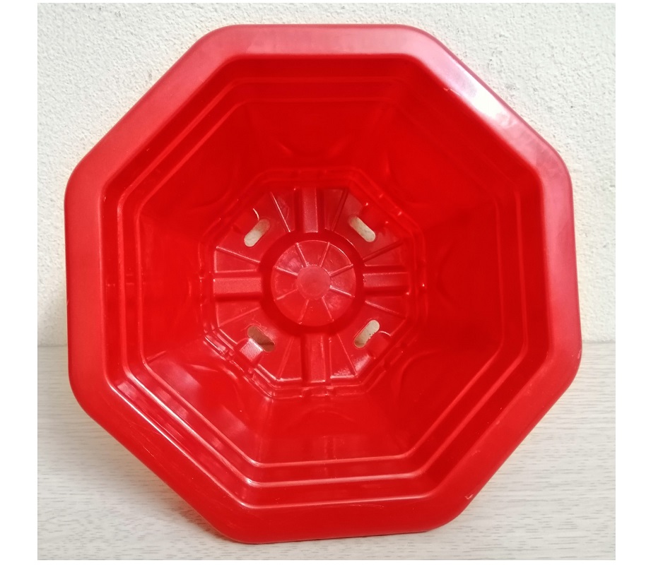 ComBo 10 Chậu Nhựa Trồng Cây Bát Giác Mini Kích Thước 17x17x10Cm