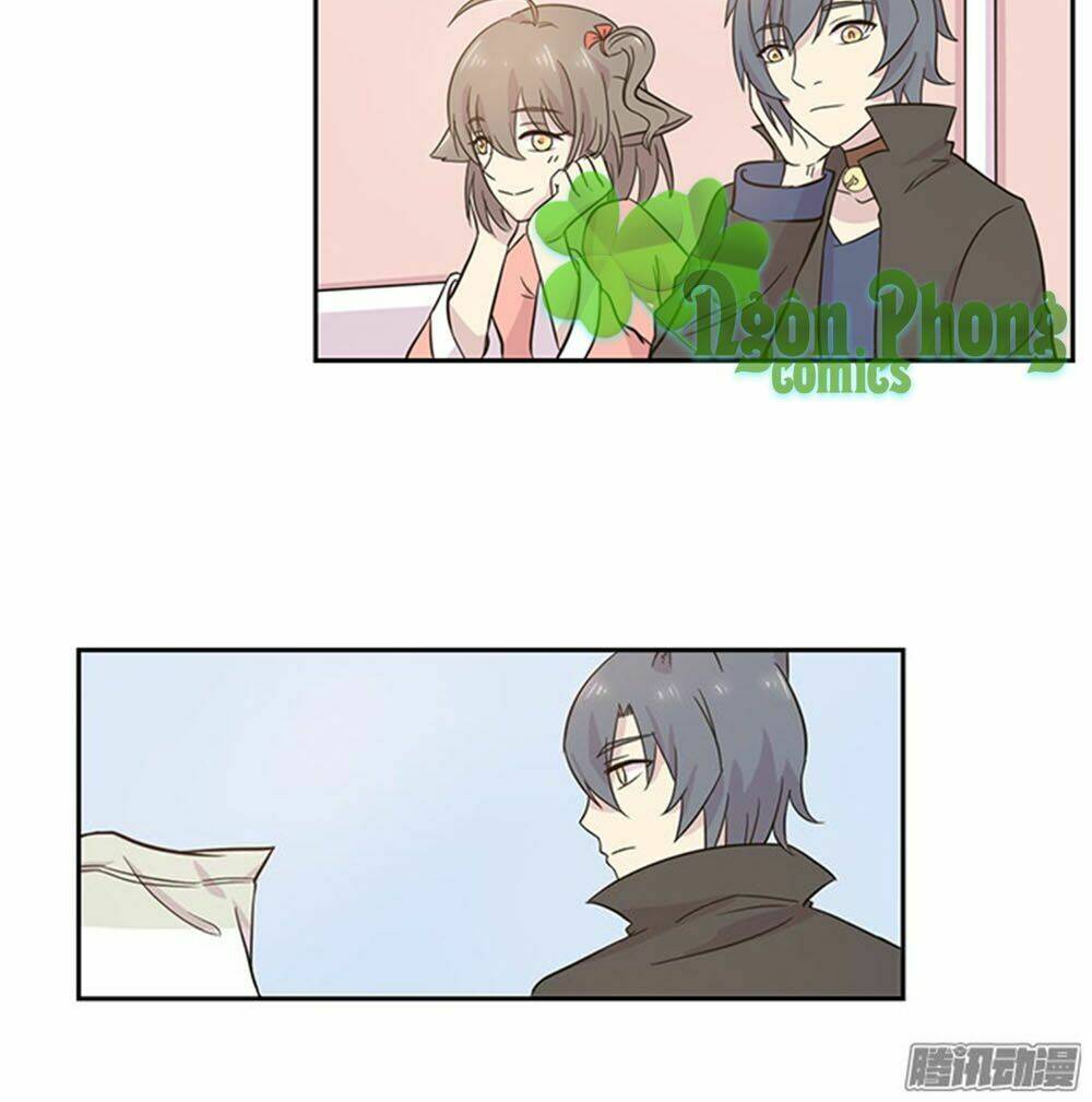 hai chú mèo totem chapter 23 15