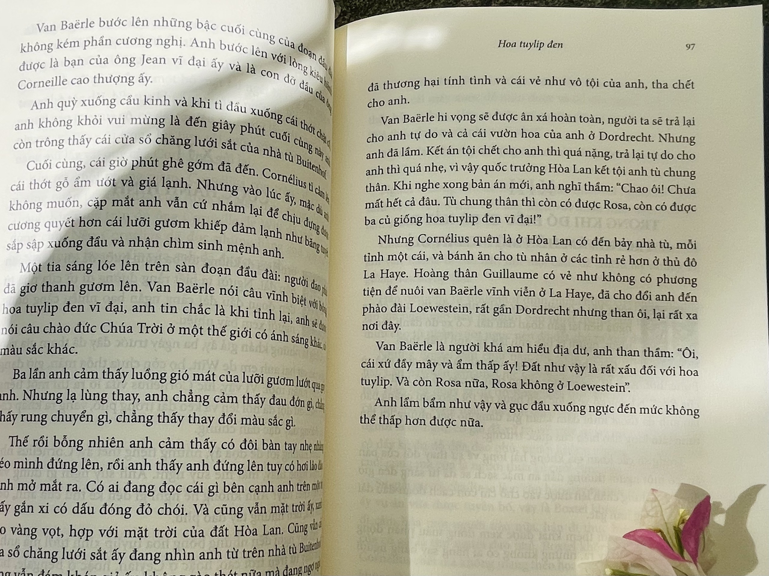 HOA TUYLIP ĐEN - Alexandre Dumas cha - Mai Thế Sang dịch - Đông A – Nxb Văn học
