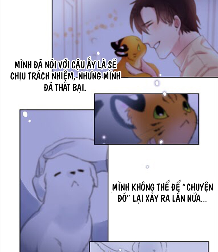 Chàng Mèo Trong Hộp Carton chapter 3