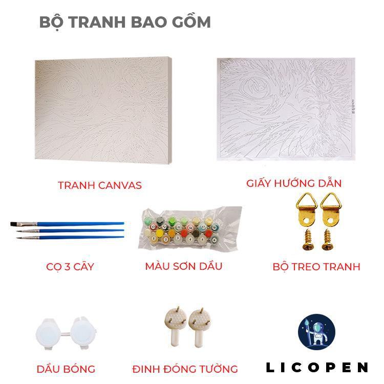 Tranh Tô Màu Theo Số Licopen - Tranh Cô Gái Bướm - MS08