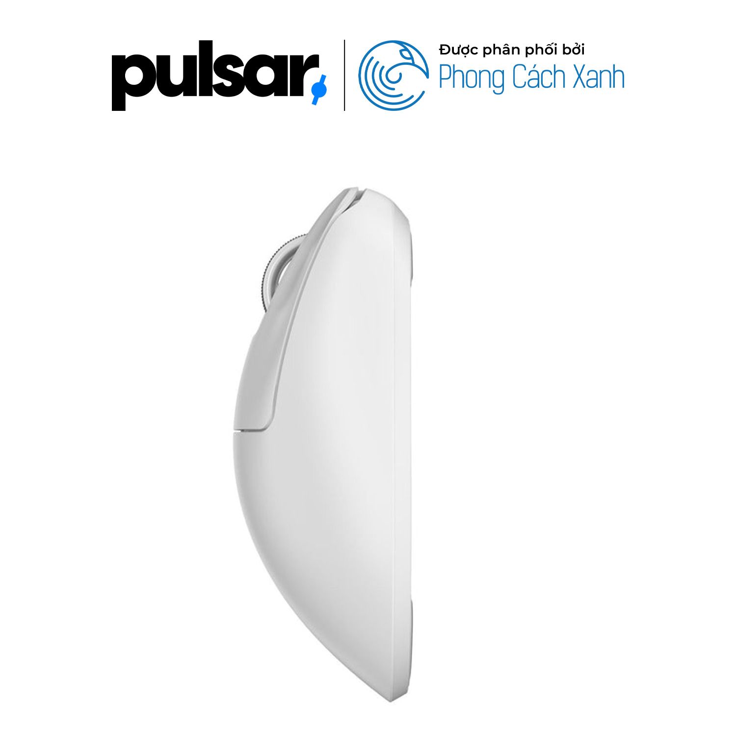 Chuột không dây siêu nhẹ Pulsar Xlite V3 (Hỗ trợ 4K Polling Rate) - Hàng Chính Hãng
