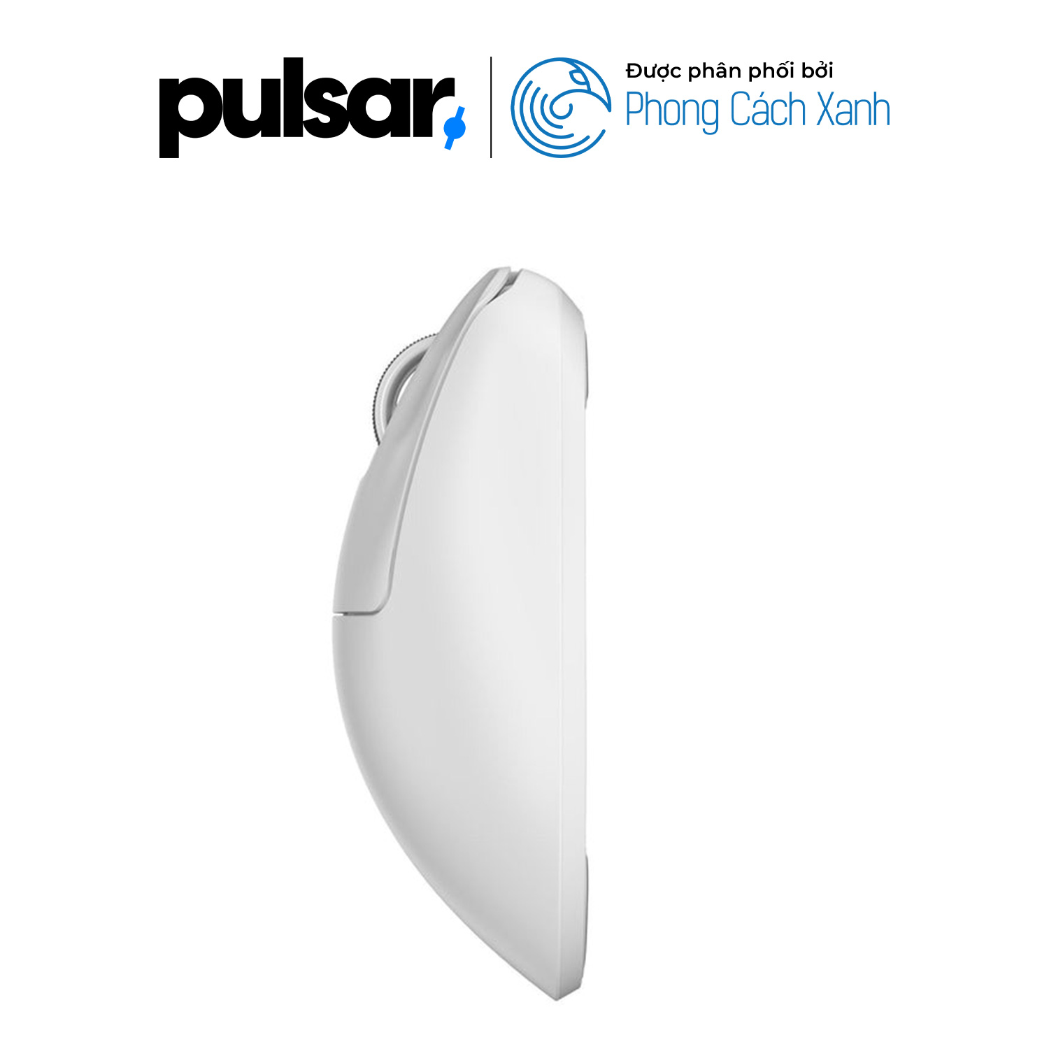 Chuột không dây siêu nhẹ Pulsar Xlite V4 (Hỗ trợ 8K Polling Rate) - Hàng Chính Hãng