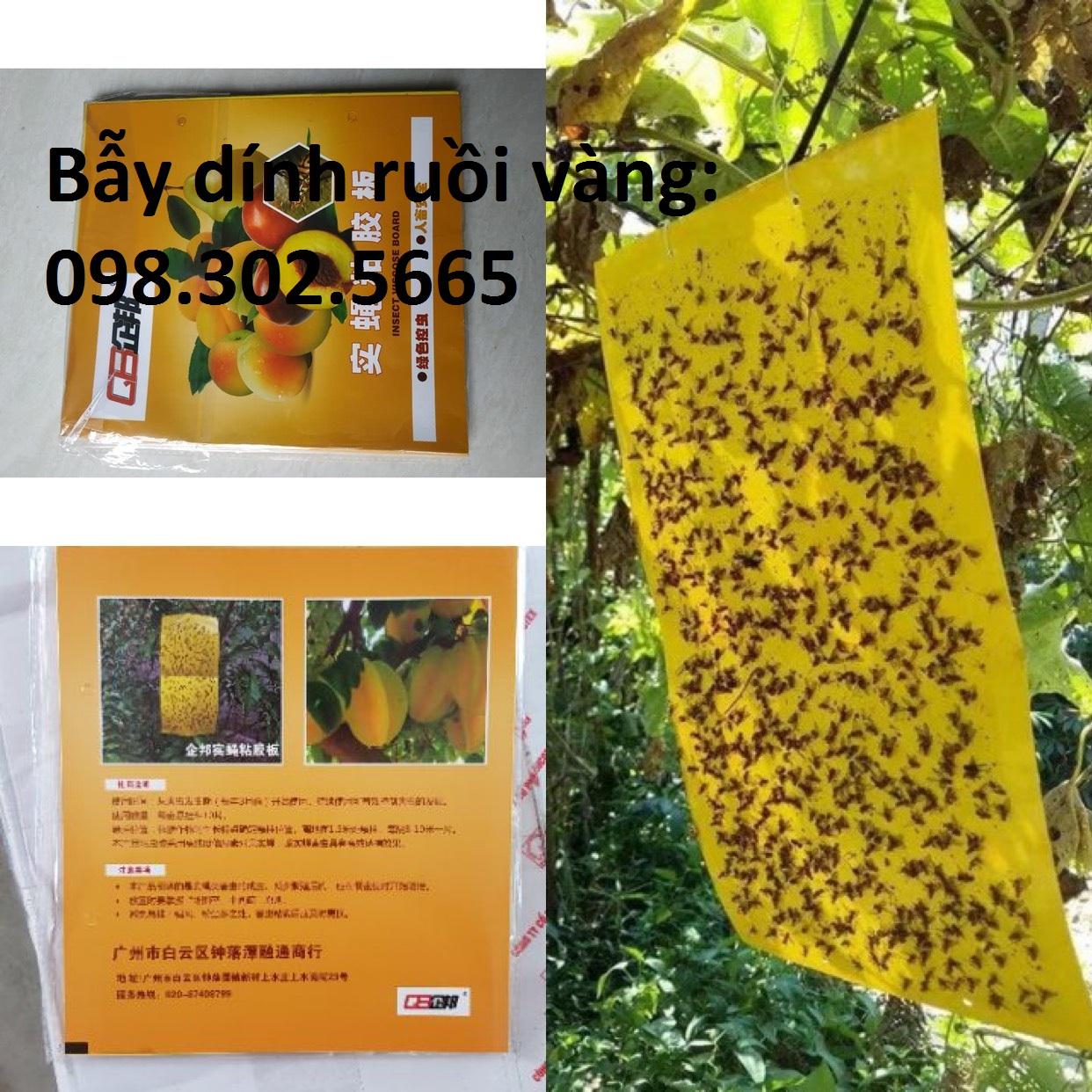 30 Miếng Dính Bẫy Côn Trùng , Bẫy Ruồi Vàng cho hoa lan, cây trồng KT 22x40cm