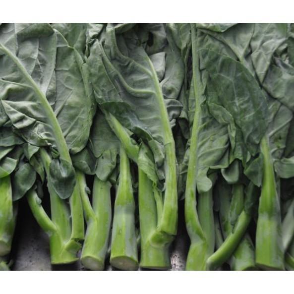 10gr Hạt giống cải làn Cải rổ