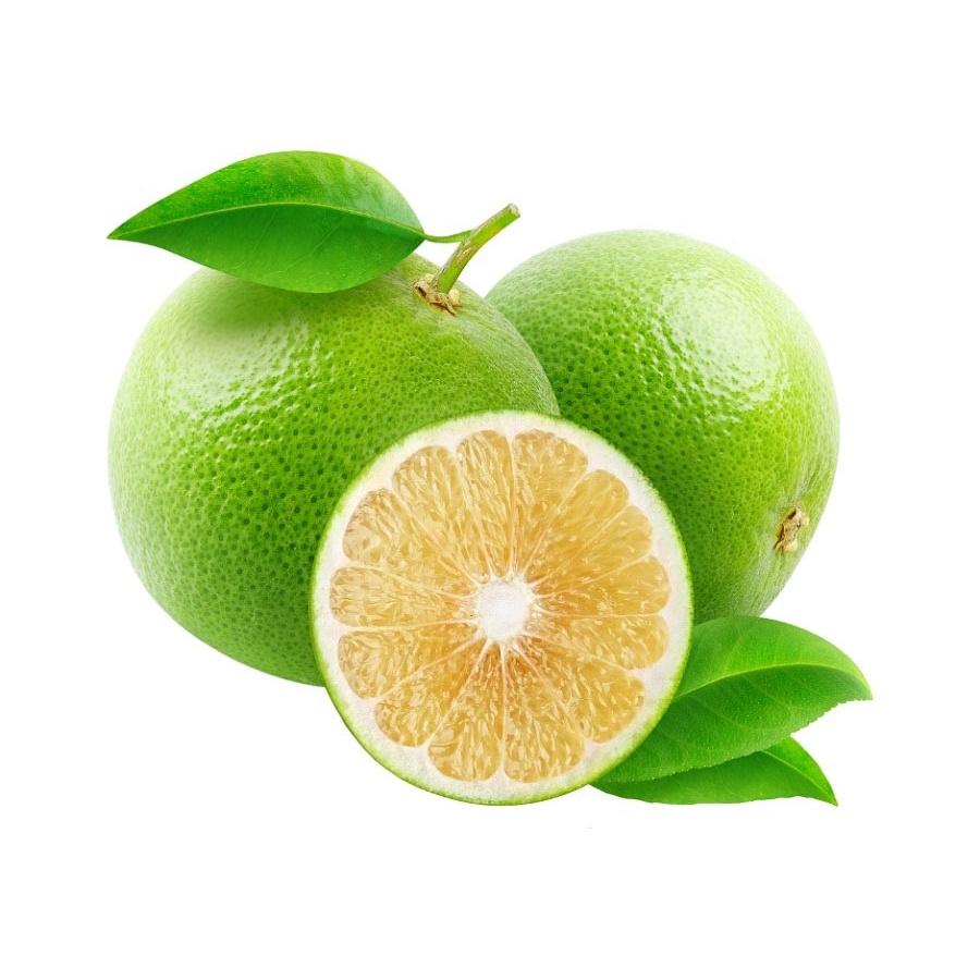 Cây giống Cam Xoàn siêu sớm, siêu sai .