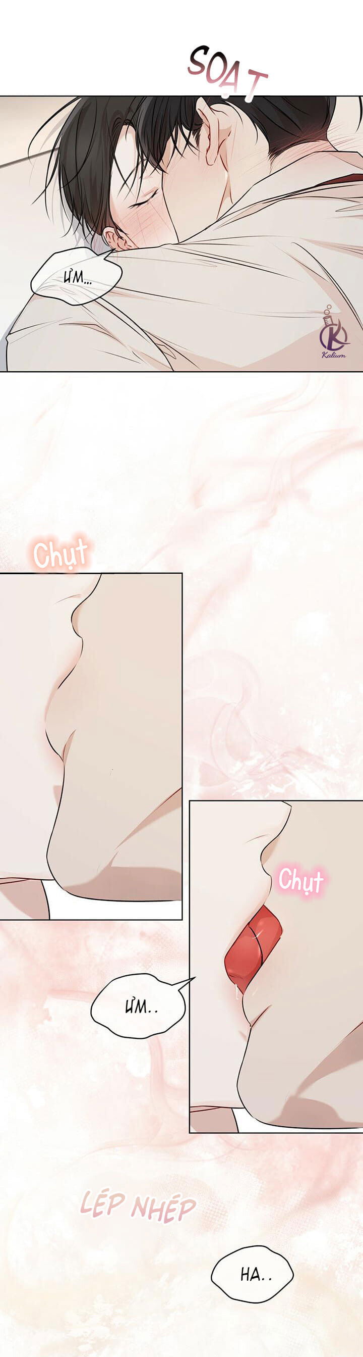 hình thái khởi sinh chapter 28 4