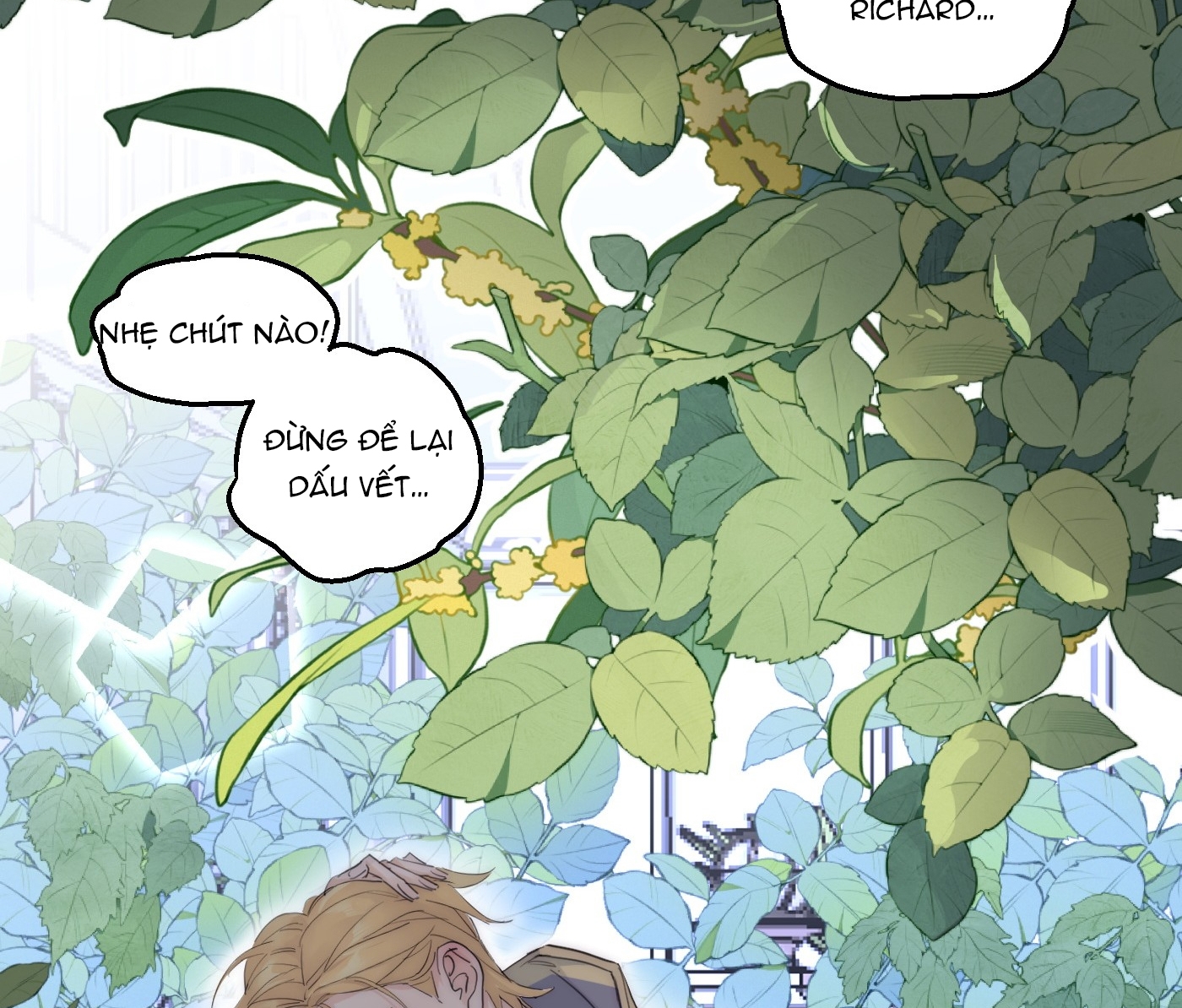 bông hoa độc của nhà công tước chapter 1.1 36