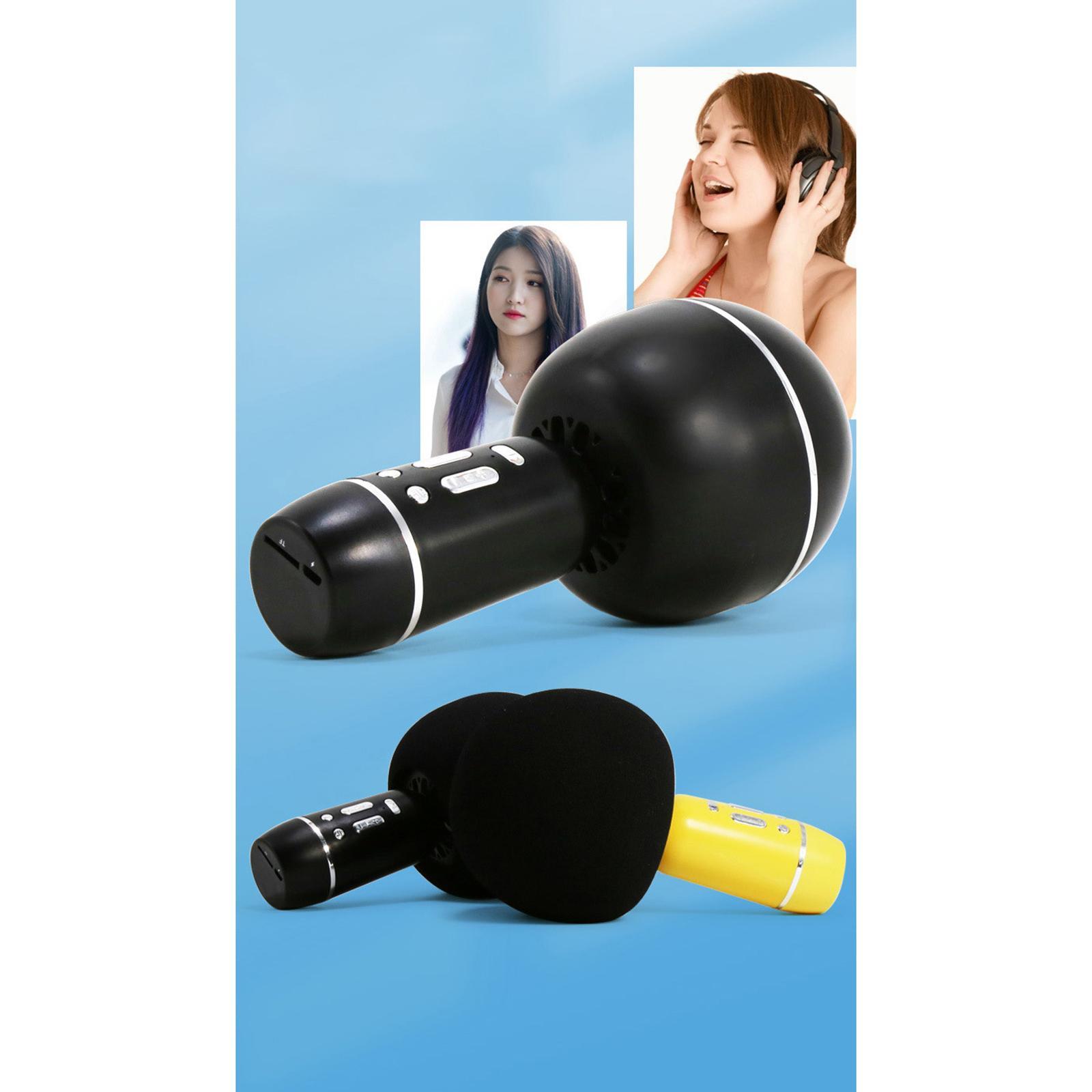 Portable Wireless Microphone Karaoke Speaker Karaoke Machine