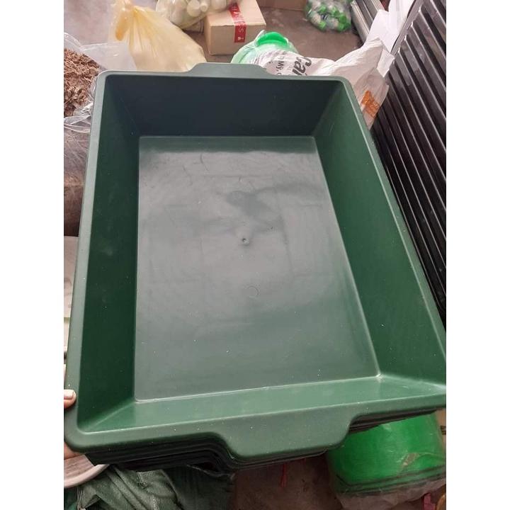Máng trồng rau sạch, rau mầm, máng gà, máng đựng nước 30x50x10