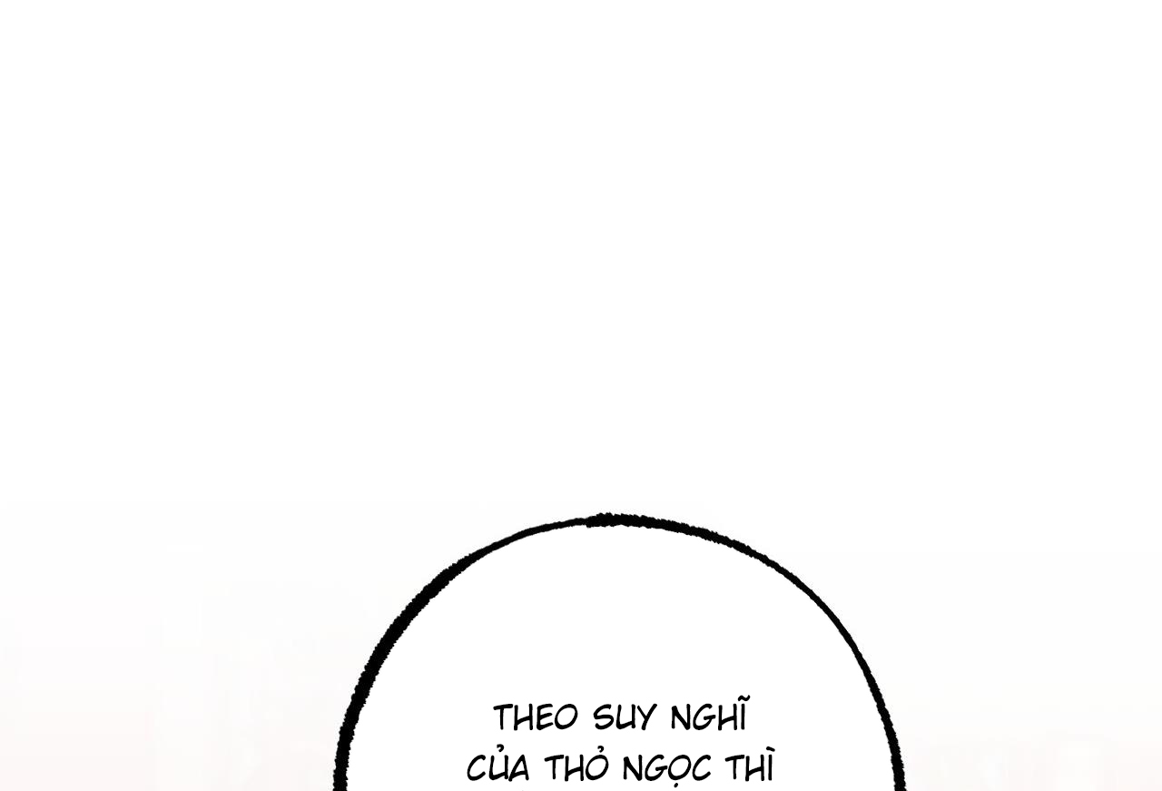 đàn thỏ của habibi chapter 62 297