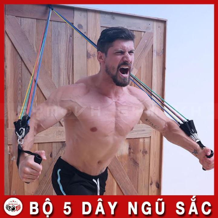 Bộ 5 Dây Ngũ Sắc Vouller Tập Gym - Full Body - Hàng Chính Hãng