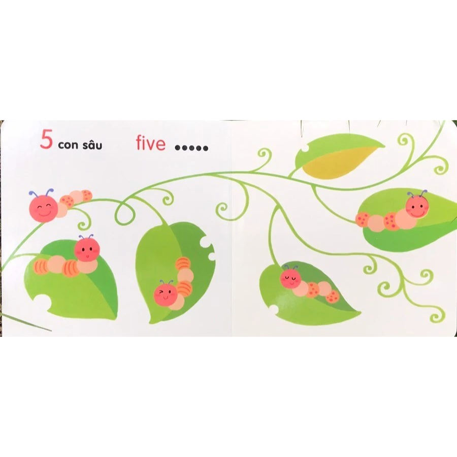 Ô cửa diệu kì - Số đếm