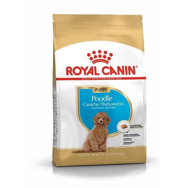 Royal Canin Poodle Junior - Thức ăn dành cho con Poodle