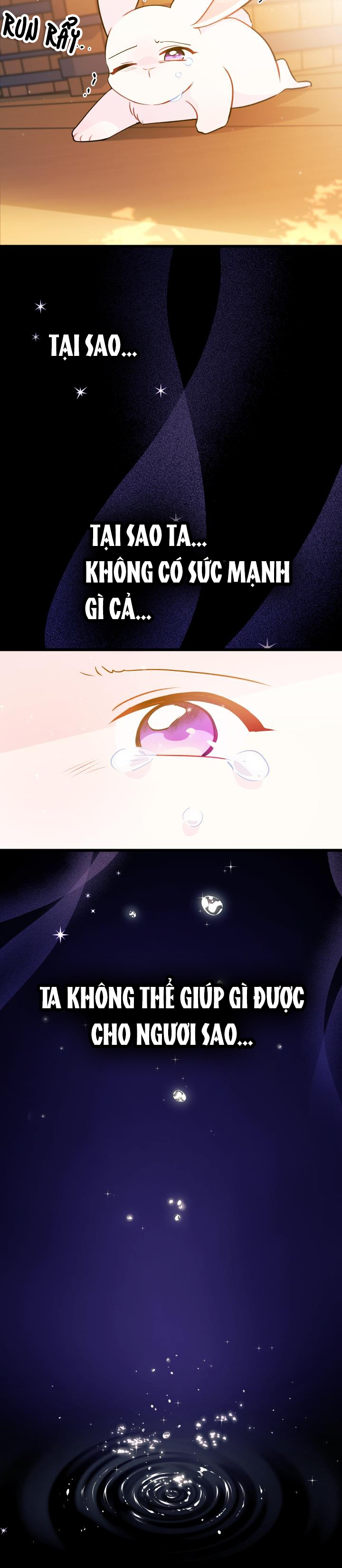 mối liên kết giữa báo đen và bé thỏ chapter 28 33