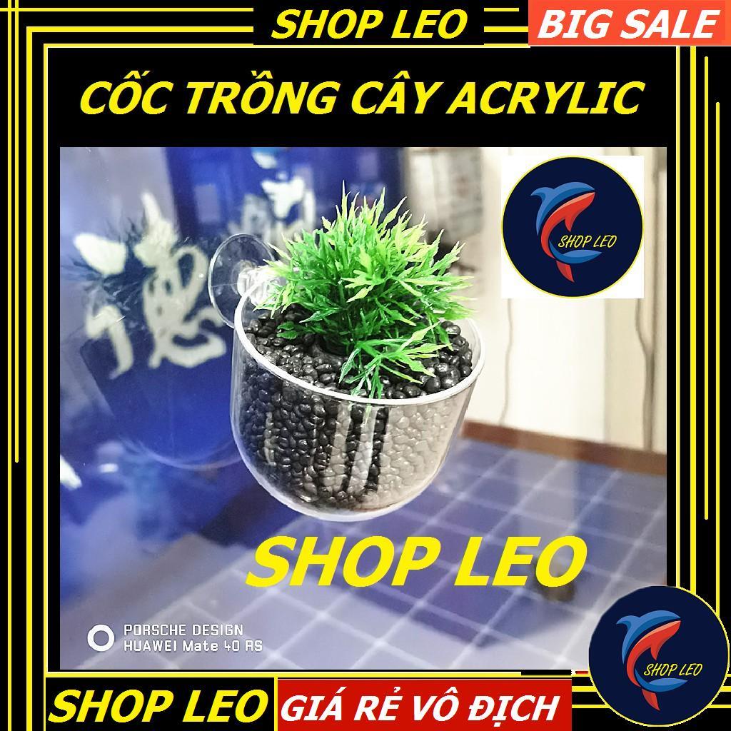 Cốc trồng cây bằng ACRYLIC - Cốc đựng phân nền mica - Hồ thủy sinh - bể cá cảnh -Shopleo