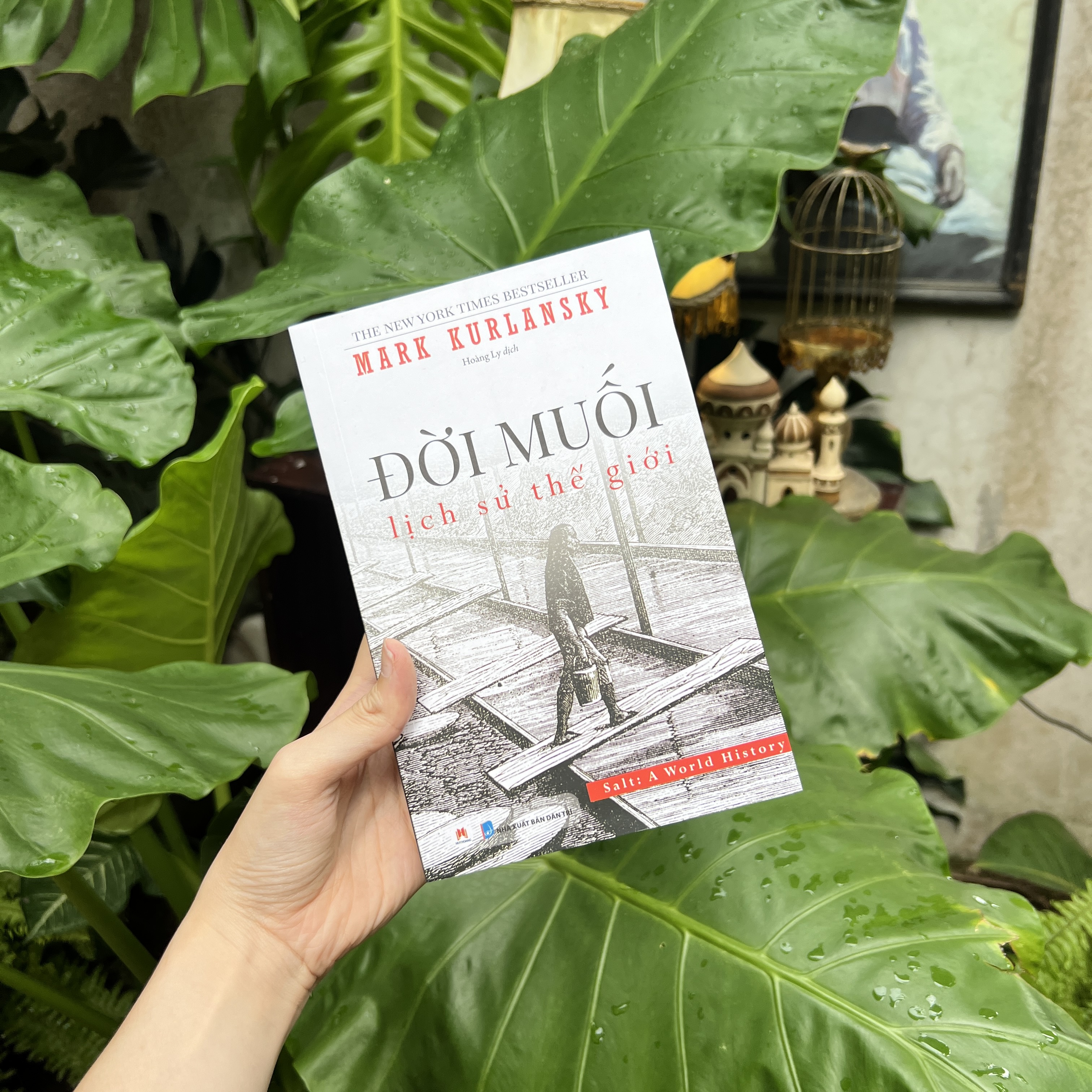 Đời Muối- Lịch Sử Thế Giới- Sách Lịch Sử-(Tái Bản 2024)- 2HBooks
