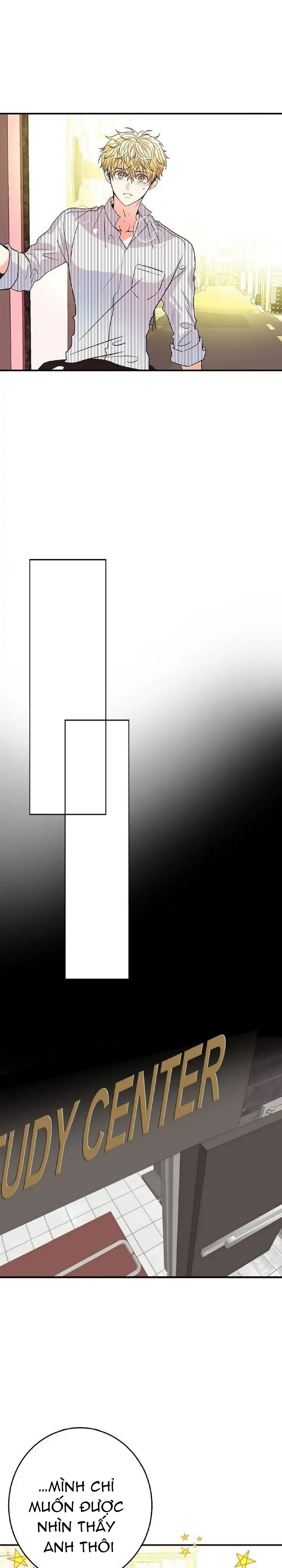 mối quan hệ phù hợp chapter 14 17