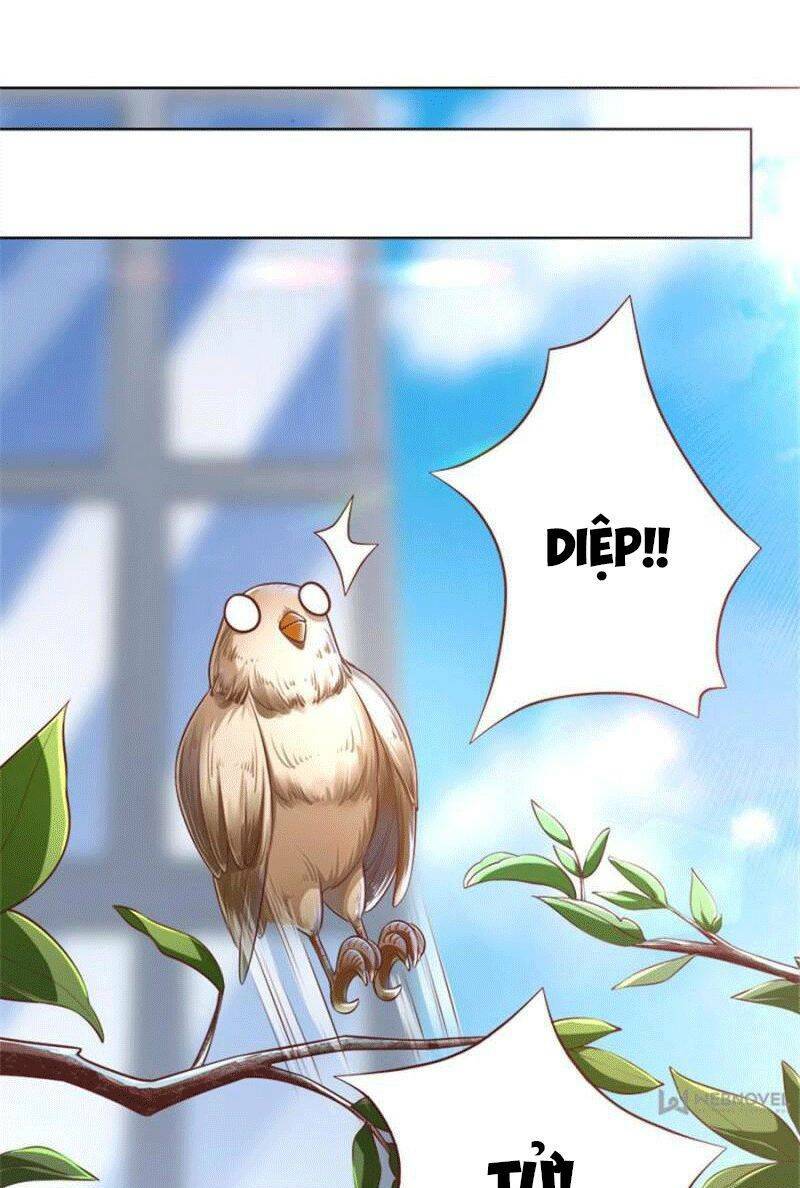 gặp phải người chồng xảo quyệt! chapter 8 20