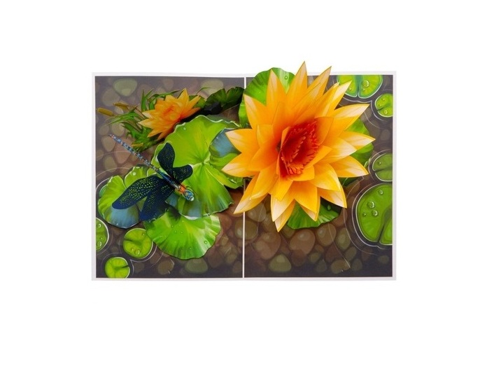 F57 -  Thiệp 3D Hoa Súng Vàng &amp; Chuồn Chuồn – Pop Up Card Viethands Giftshop