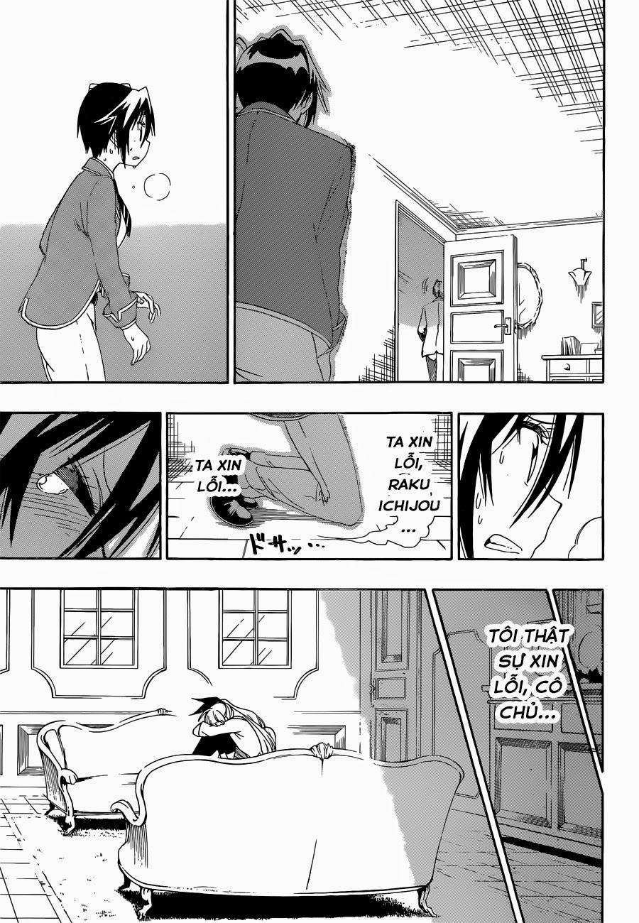 nisekoi - tình yêu giả tạo chapter 161 14