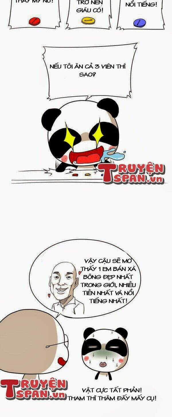 gấu ngốc và những người bạn chapter 11 5