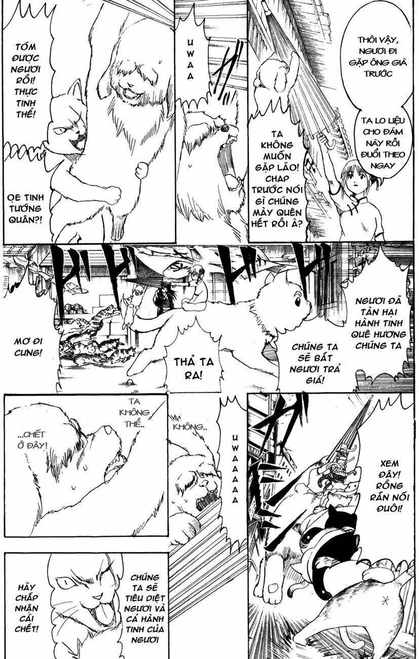 gintama - linh hồn bạc chapter 208 9