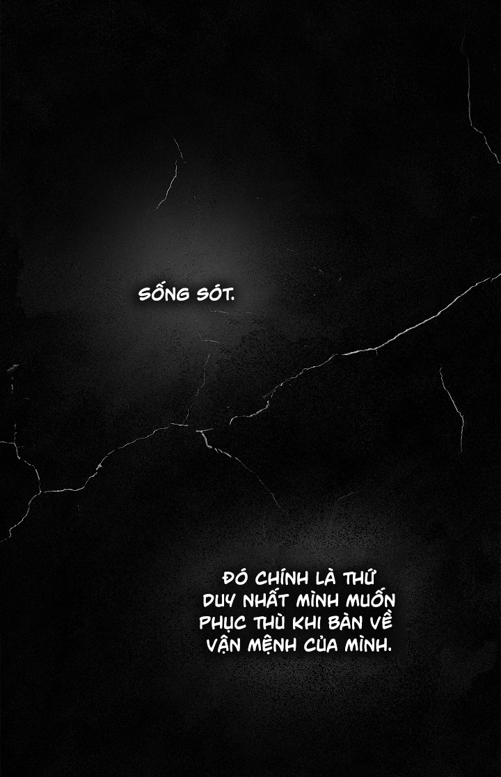 tiểu thư bí ẩn chapter 1 65