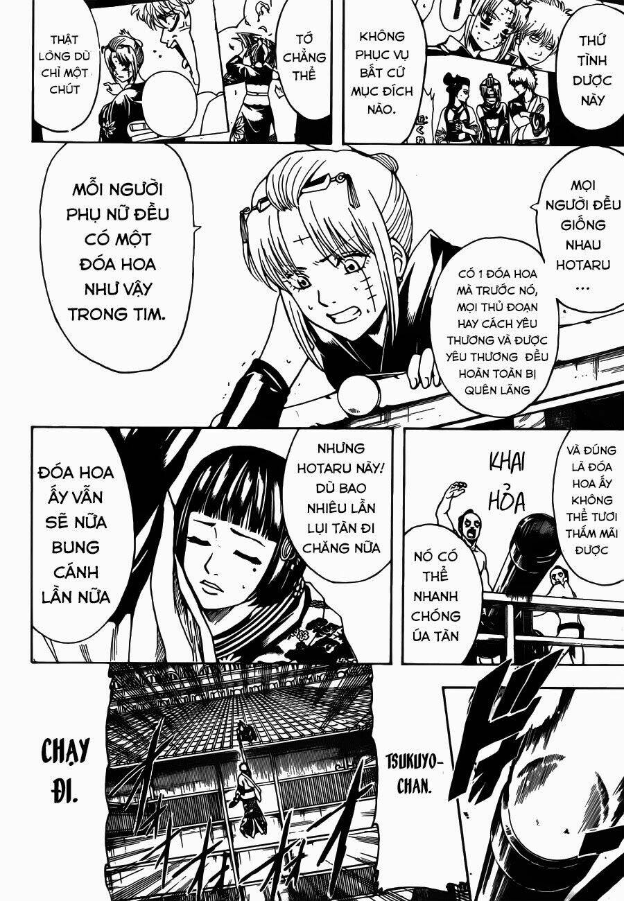gintama - linh hồn bạc chapter 495 13