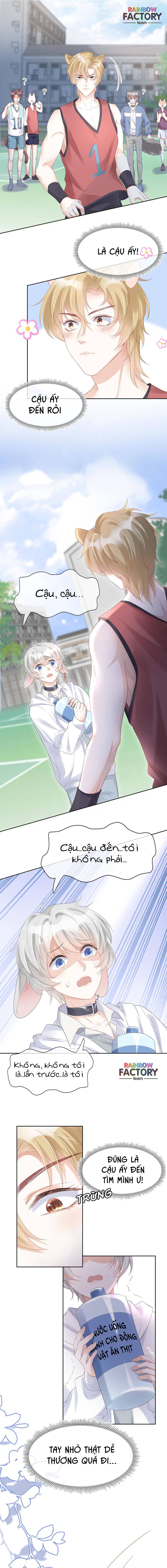 ăn một bé thỏ chapter 2 8