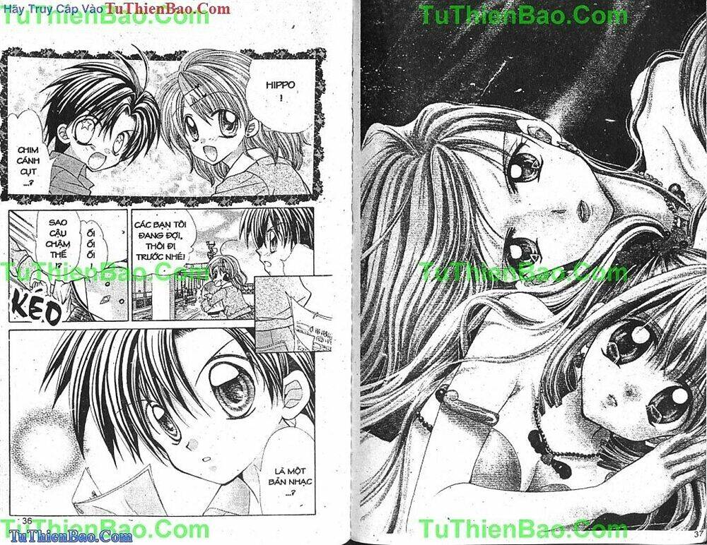 viên ngọc nàng tiên cá chapter 5 18