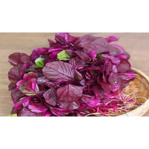 50Gr HẠT GIỐNG RAU DỀN ĐỎ