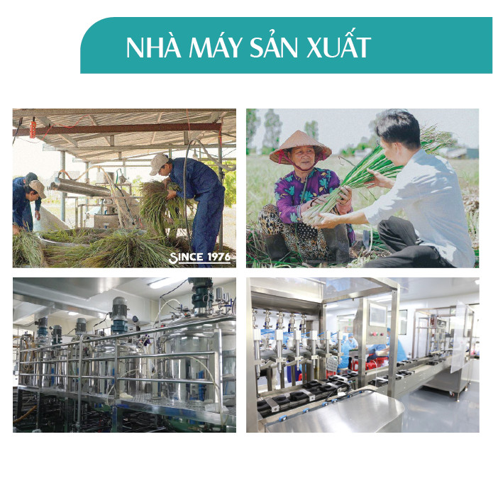 Combo 2 Tinh dầu Oải Hương + Bạc Hà 24Care 100ml/Chai