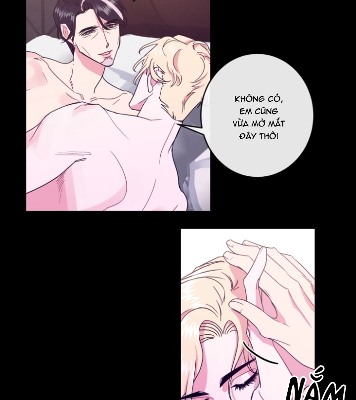 kiếp trước bí ẩn của giáo sư chapter 17 6