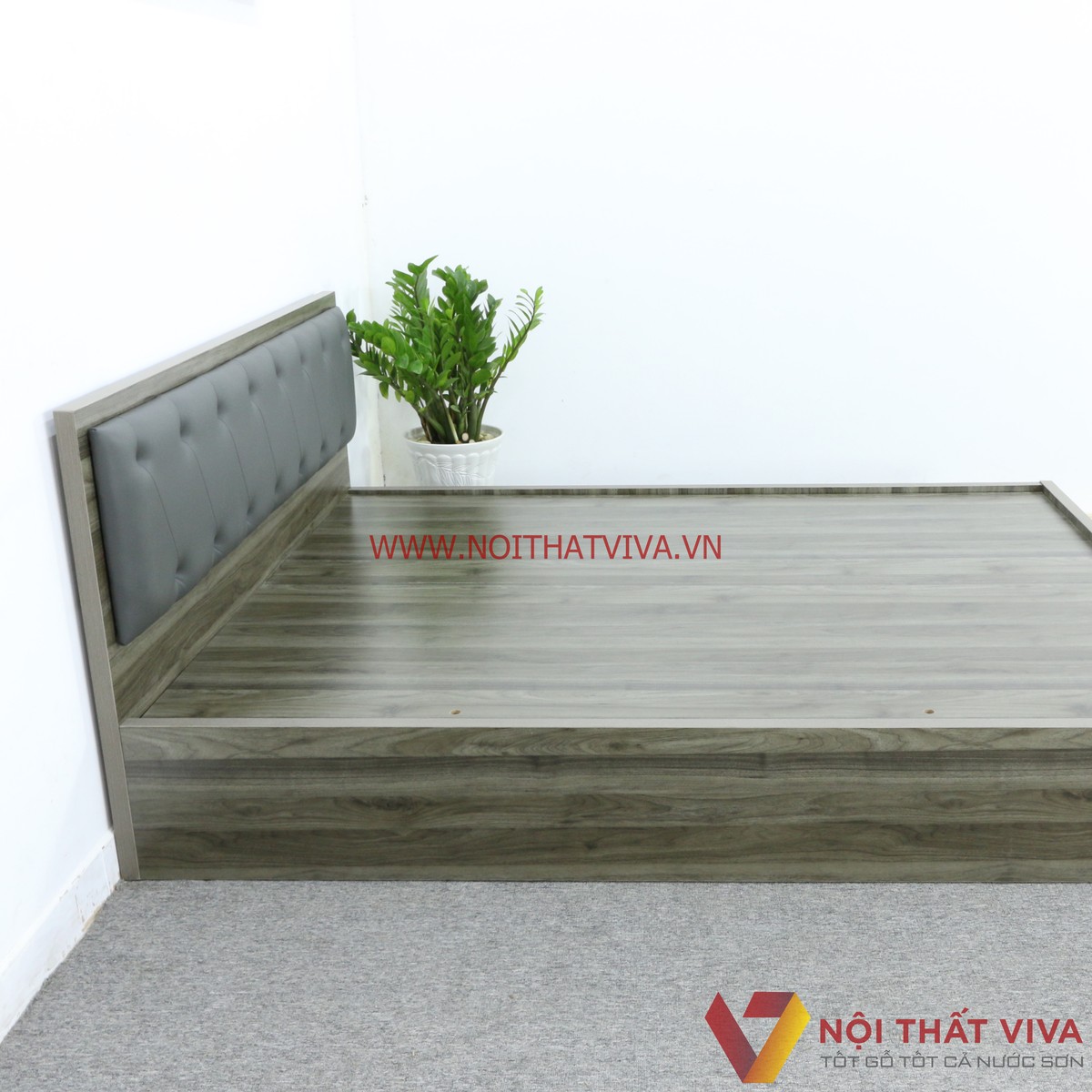 Giường Ngủ Gỗ MDF Melamine Màu Xanh Rêu Vân Gỗ Có Đầu Nệm Đen Cá Tính Đẹp